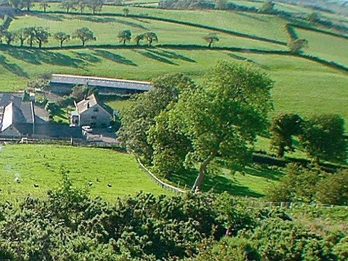 Alltyfyrddin Farm At The Merlin's Hill Centre